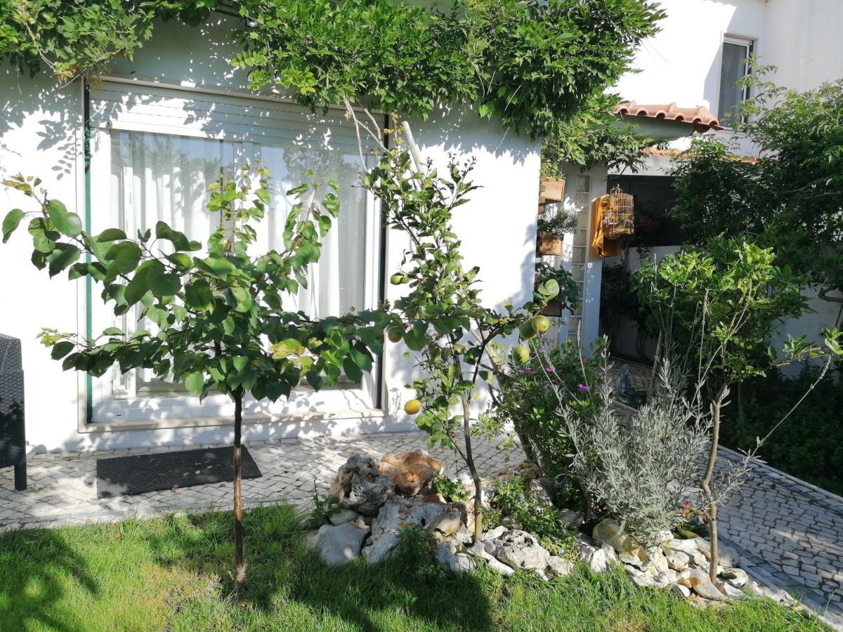 Silver Home نازاريه المظهر الخارجي الصورة