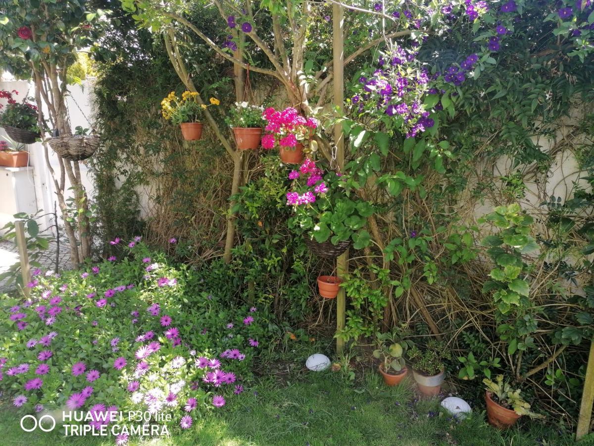 Silver Home نازاريه المظهر الخارجي الصورة