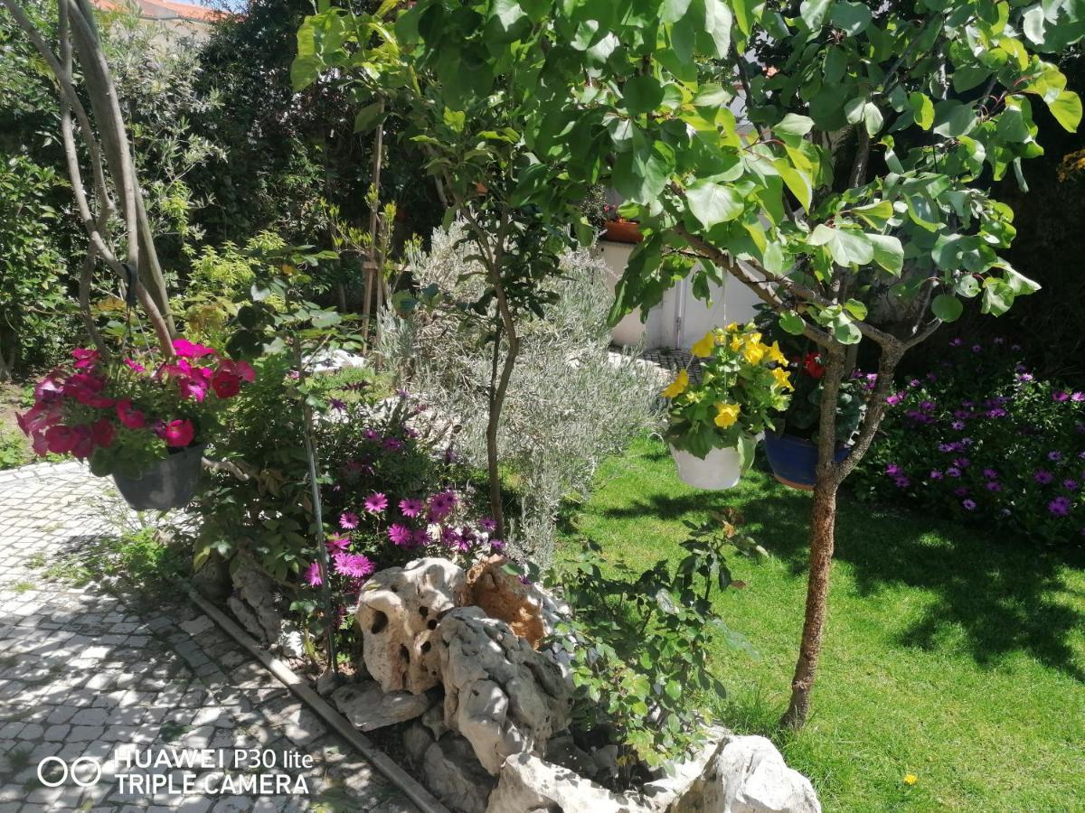 Silver Home نازاريه المظهر الخارجي الصورة