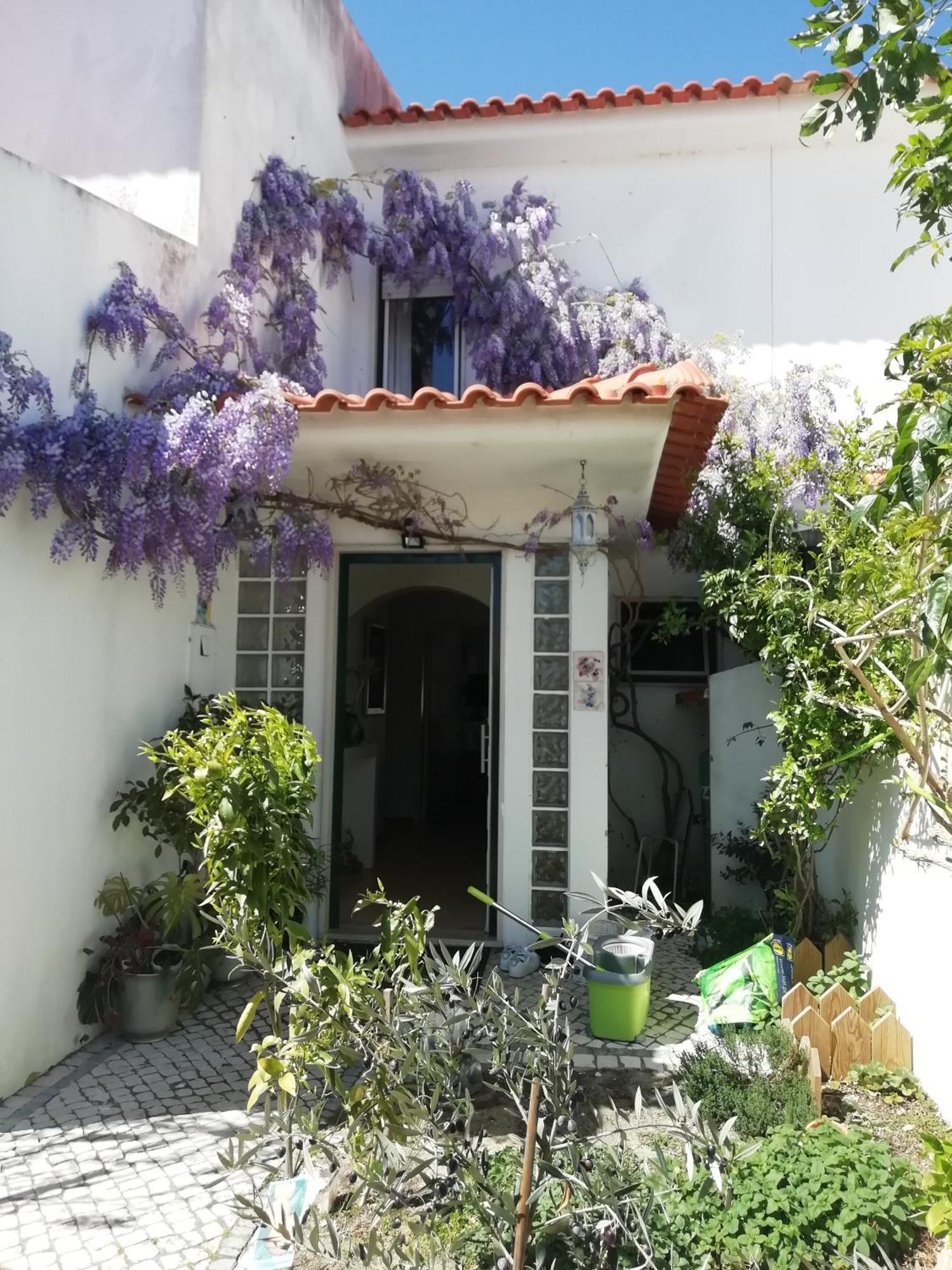 Silver Home نازاريه المظهر الخارجي الصورة